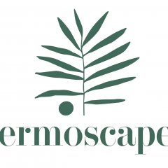 Fermoscapes
